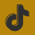 tiktok icon